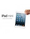 iPad mini 1 (A1432 / A1454 / A1455)